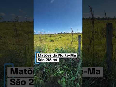 DONA BAIXOU PREÇO DA FAZENDA