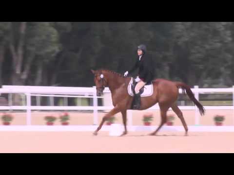 Dressage Horse of the Year Show 2015 Highlight 2