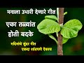 ग दि माडगूळकर यांचे न्युनगंड कमी करून 