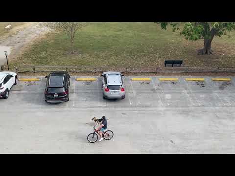 Miami Dog Walking Service video.