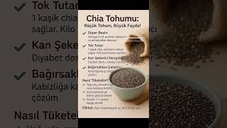 🤎 Chia Tohumu ile Sağlıklı Yaşam: Tokluk, Enerji ve Bağırsak Düzeni