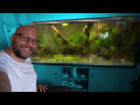 450 Liter Orinoco Aquarium | Biotop-Style