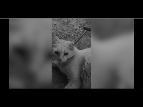 2EER00 (Disturb) X Loner - Βγαίνουμε από το Lobby (Prod. Cred)