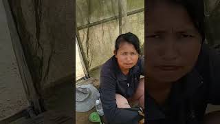 Download lagu THE FATE OF TKI TKW PLANTATION WORKERS IN TAIWAN IS SERIOUS mp3 Download lagu THE FATE OF TKI TKW PLANTATION WORKERS IN TAIWAN IS SERIOUS mp3
