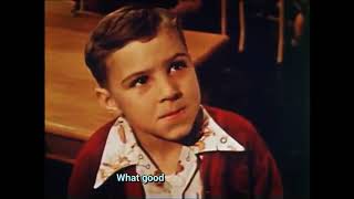 The Field Mice - Fabulous Friend