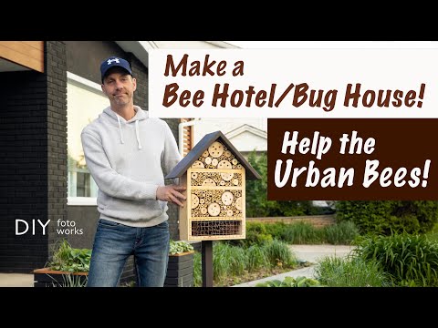 Make a Bee Hotel / Bug House!  4K