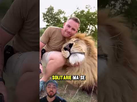 Trattamento ingiusto dei leopardi!