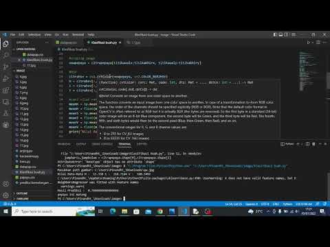 Video