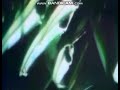 Sesame Street Skeleton Fish Film