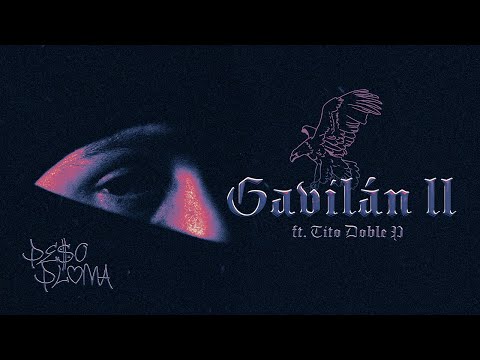 GAVILÁN II (Visualizer) - Peso Pluma, Tito Double P