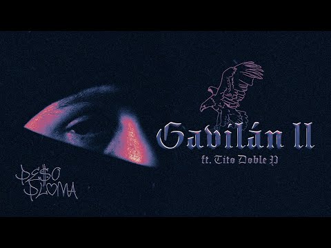Peso Pluma - GAVILÁN II (w/ Tito Double P) on Spotify Charts