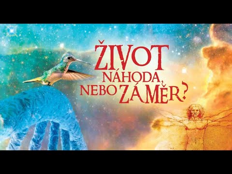 Život - náhoda, nebo záměr? | Dokument