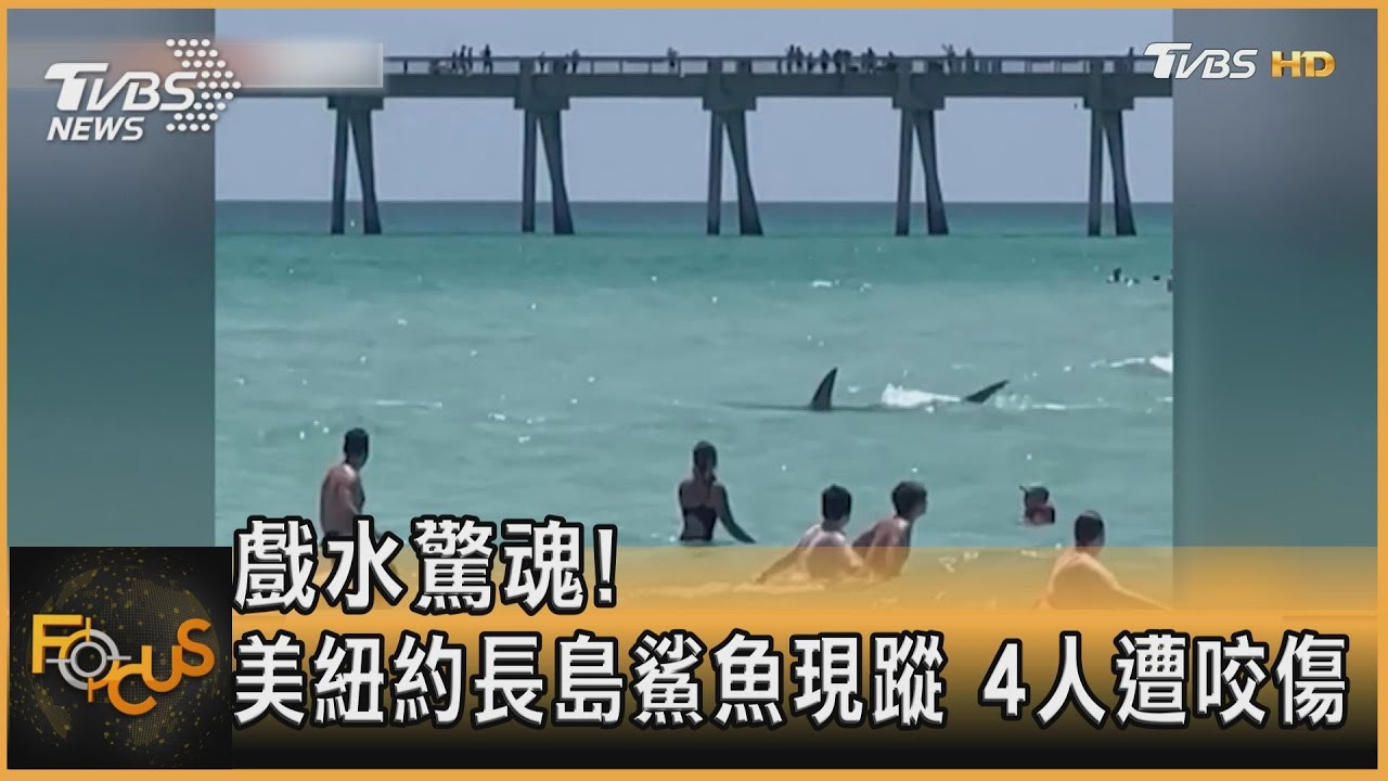 戲水驚魂!美紐約長島鯊魚現蹤 4人遭咬傷