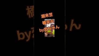潮来笠＃橋幸雄＃恋ちゃん＃ギター弾き語り＃昭和歌謡