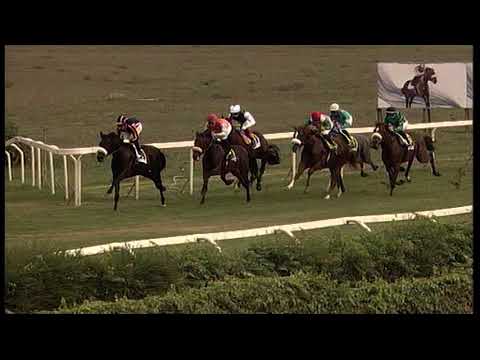 rm 20211017 02 p lemarmore