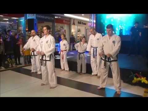 Taekwon-do exhibice | 15.11.2015