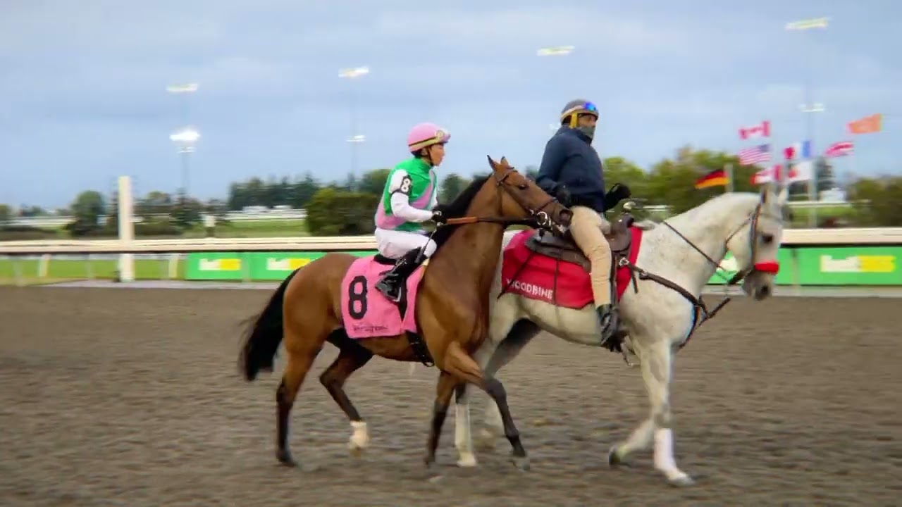 Gulfstream Park Replay Show | September 13, 2024