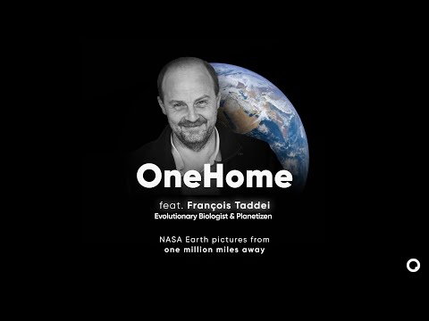 OneHome feat. François Taddei (4k)