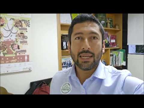 Habitantes grabaron el paso de una anaconda en Puerto Nare - Noticias Telemedellín