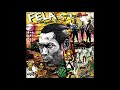 Fela Kuti - Sorrow Tears and Blood (Edit) (Official Audio)