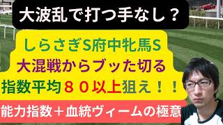 [競馬/能力指数 ]大波乱の重賞 しらさぎS府中牝馬Sで絶対に買えてたノーザンダンサーｘノーザンダンサー　血統ヴィームなら　セキトバイースト　エルトンバローズ　エコロアルバ