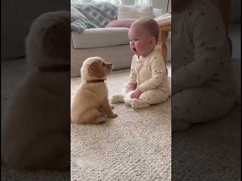 Cutest Baby and Puppy