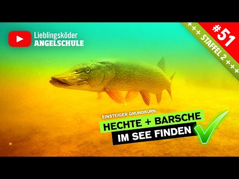 So findest du HECHTE + BARSCHE im SEE  ✅  (inkl. Unterwasser-Aufnahmen!) 🐟 😍 🎣