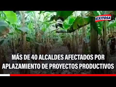 🔴🔵 Más de 40 alcaldes afectados por aplazamiento de proyectos productivos
