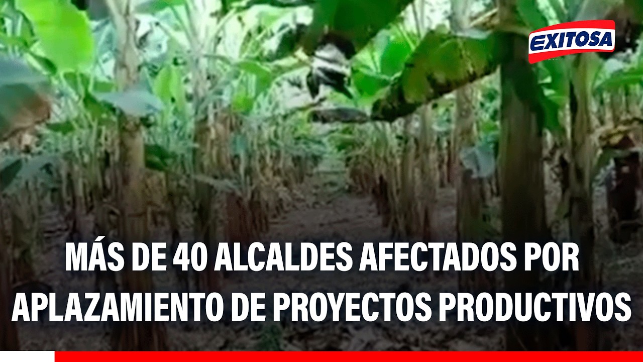 🔴🔵 Más de 40 alcaldes afectados por aplazamiento de proyectos productivos