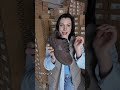 Кроссовки женские сетка эко замша 595406 Коричневый Відео