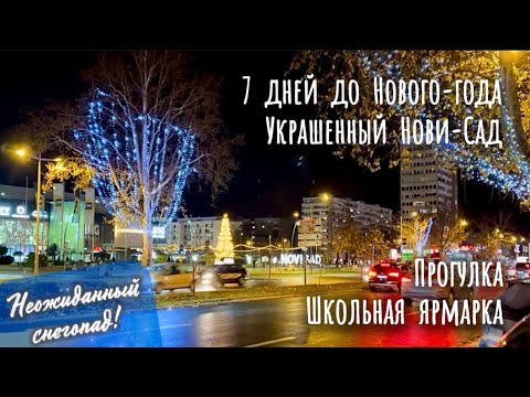 Нови-Сад и Новый год! Ярмарка в школе, улицы, красота. 3 дня уходящего 2025го года в Сербии.