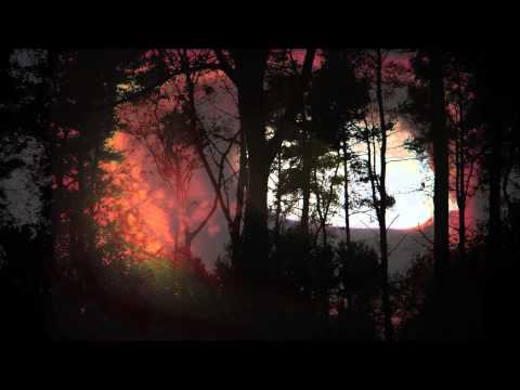 A Ring of Thorns - The Akasha Thief Promo