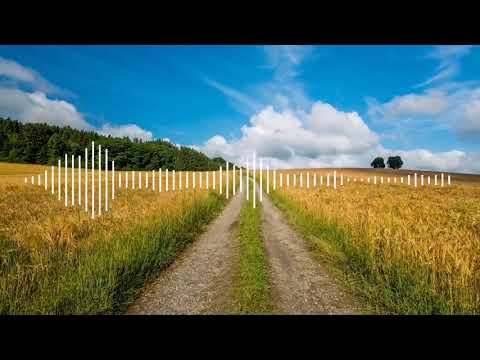 Tim McGraw, Tyler Hubbard - Undivided