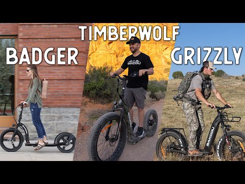 The Difference Between the Bakcou Electric Scooters