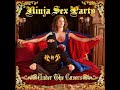 King's X-The Burning Down:Cover by NSP