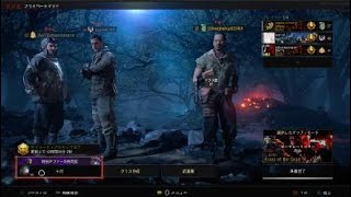 [BO4ゾンビ謎解き] BLOOD OF THE DEAD  謎解きボス戦攻略！！