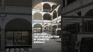 A recently digitalized piece of ETH cultural heritage 🦤 | Then &amp; Now: The LFW Animals Collection