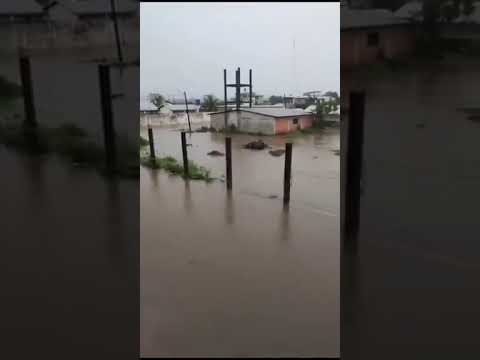 BALAO BAJO EL AGUA #atención #noticias #593informativoec #fenomenodelniño