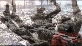 Cassandra Wilson - Strange Fruit