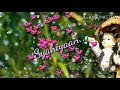 Whatsapp Status Video Sun Saathiya Maahiya