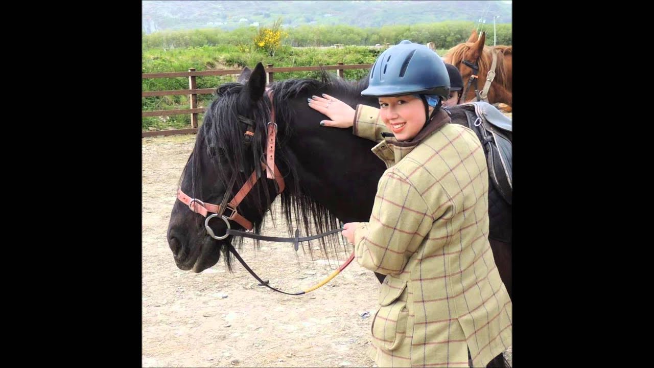 kerry harvey purple princess