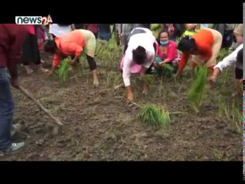 खोकनामा प्रहरी र स्थानीयबीच झडप - NEWS24 TV