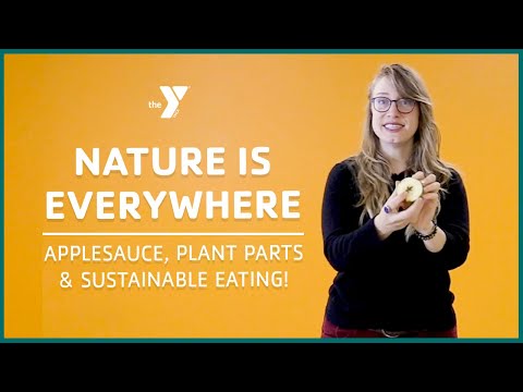 Nature Is Everywhere with Reesha: Applesauce & Sustainable Eating! - Classrooms for All
