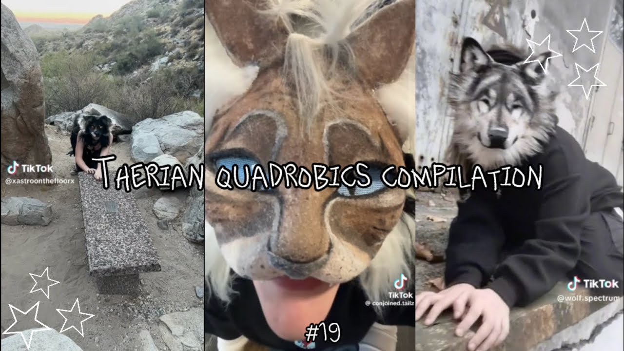 Therian quadrobics Compilation || #19 ||