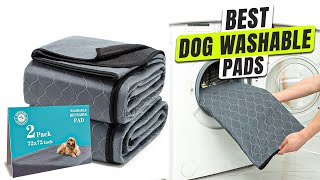 3 BEST Dog Washable Pads