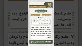 صورة 4099 - حكم الصلاة خلف من يعتقد أن أحداً غير الله يعلم الغيب - نور على الدرب