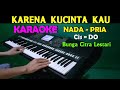 KARENA KUCINTA KAU Bunga Citra Lestari Once KARAOKE Nada Pria