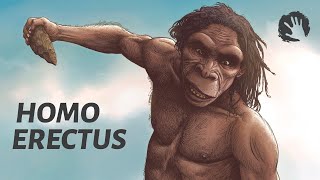 Homo Erectus The First Humans Mp4 3GP & Mp3