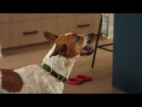 Freshpet: Kitchen Conversations - Too Soon
