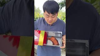 Download lagu Mana kaki ayamnya? #lucu #komedi mp3